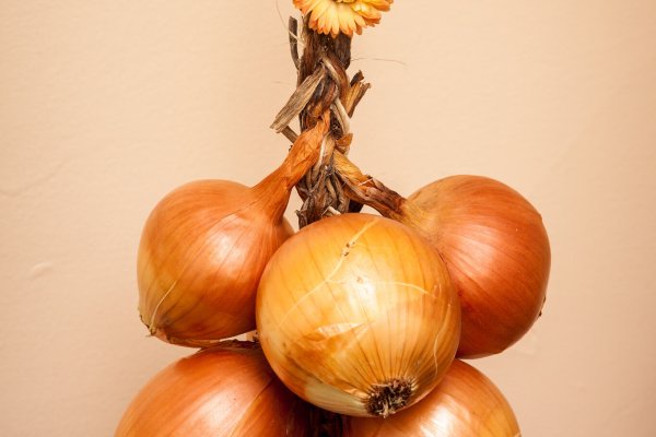 Kraken darknet onion