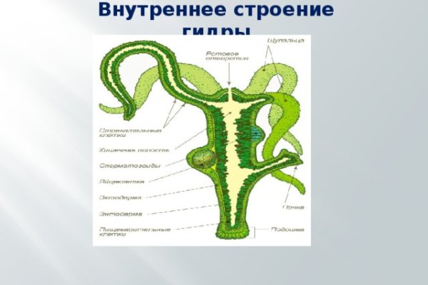 Магазин кракен дарк